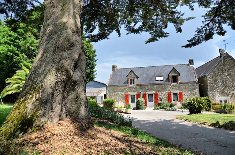SD Copie de G1 15 - Photographe Morbihan