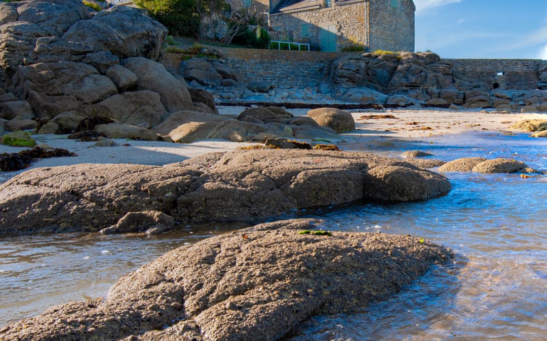 Charme de la côte à Gâvres