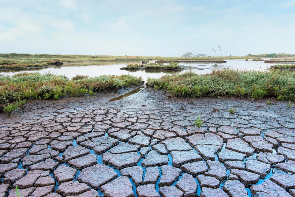 reportage photo libre - petite mer de Gâvres - Le Dreff