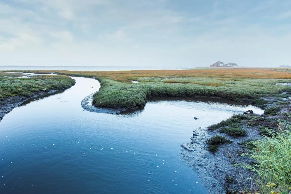 reportage photo libre - petite mer de Gâvres - Le Dreff