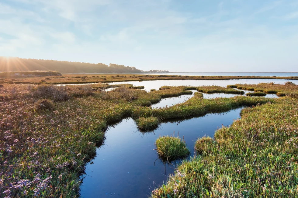 reportage photo libre - petite mer de Gâvres - Le Dreff