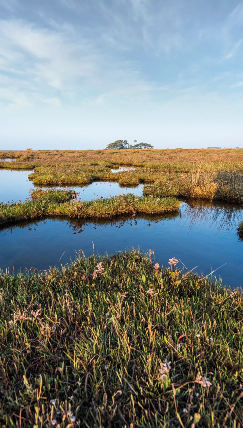 reportage photo libre - petite mer de Gâvres - Le Dreff
