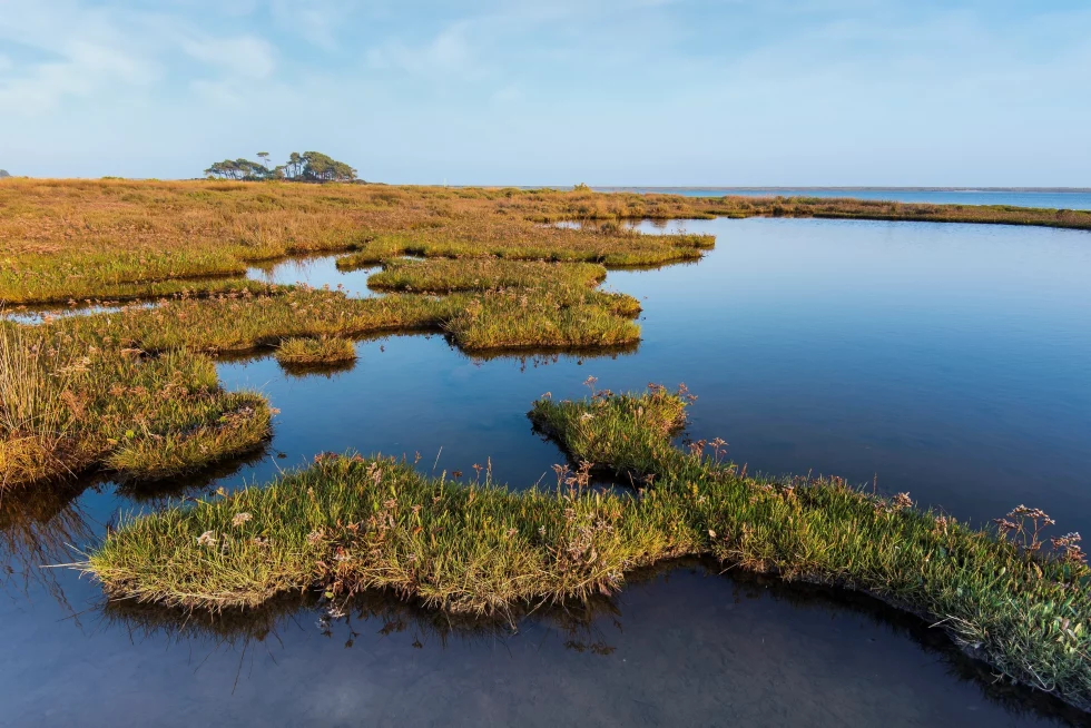 reportage photo libre - petite mer de Gâvres - Le Dreff