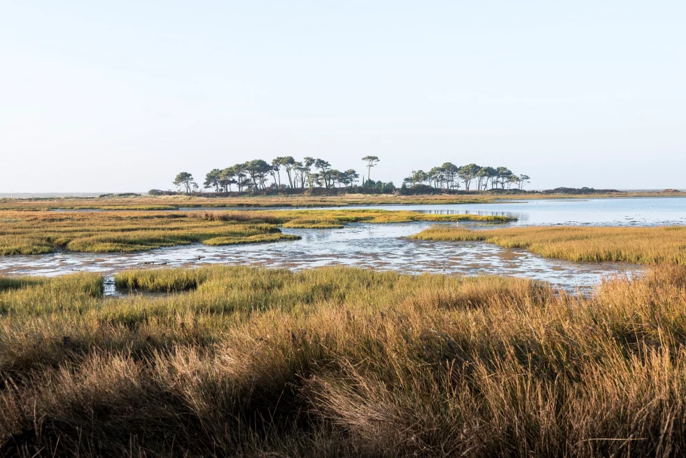 reportage photo libre - petite mer de Gâvres - Le Dreff