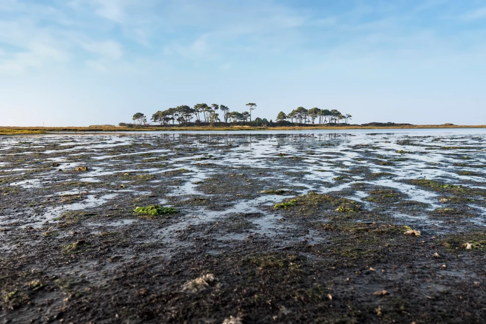 reportage photo libre - petite mer de Gâvres - Le Dreff