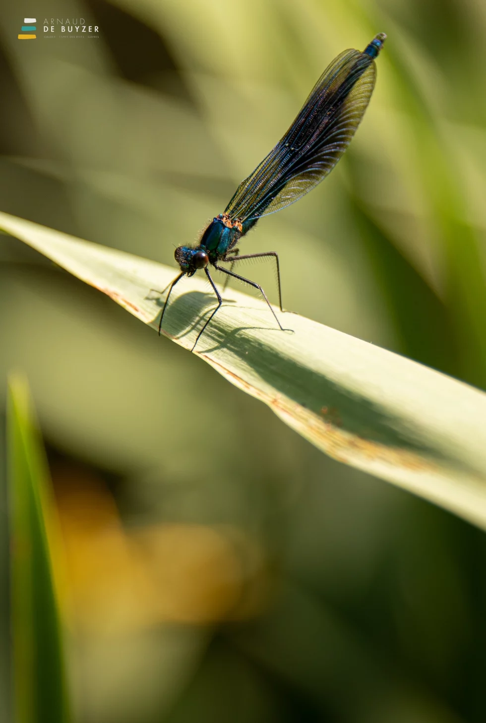 reportage photo - syndicat scorff - pont-callek