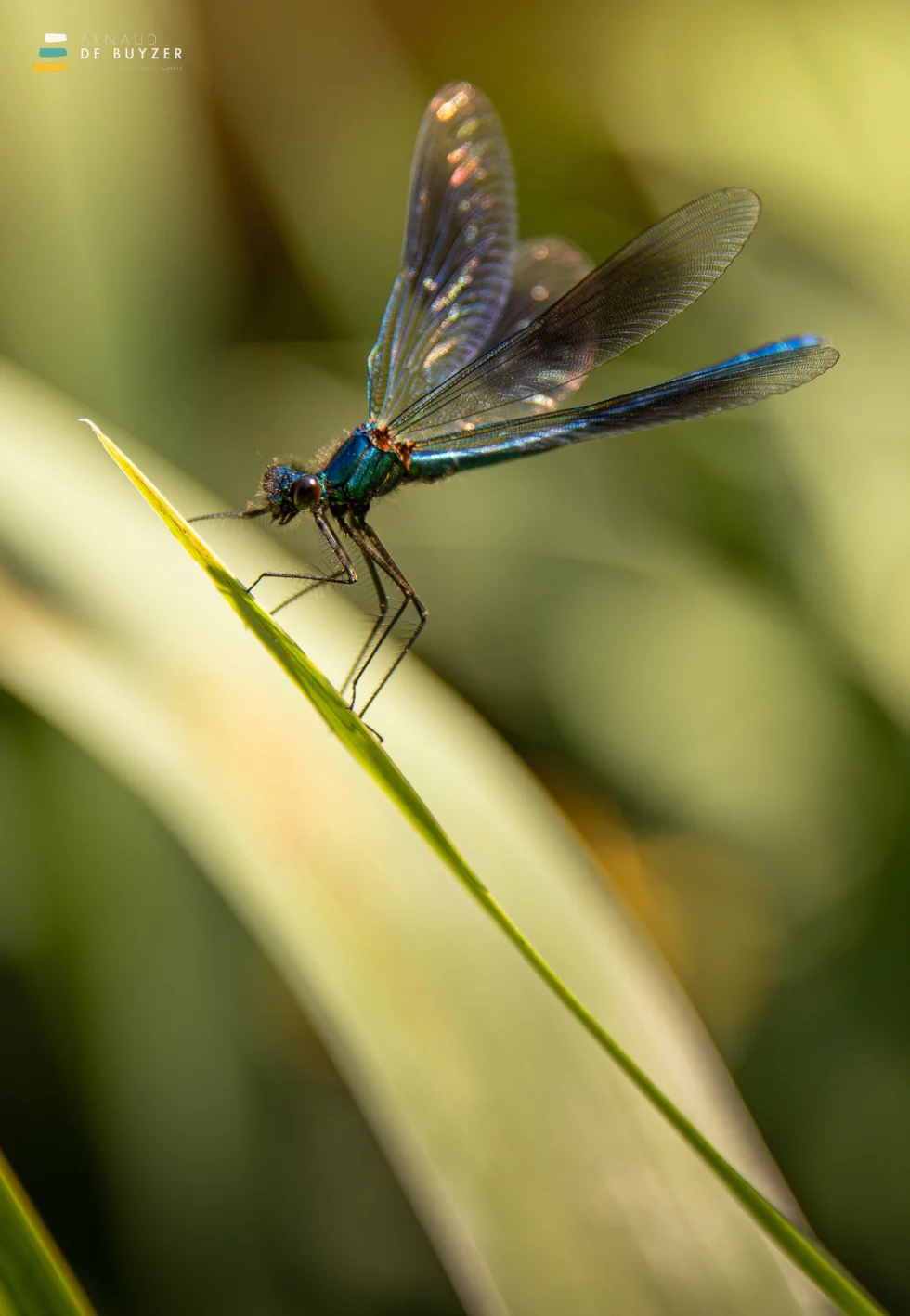 reportage photo - syndicat scorff - pont-callek