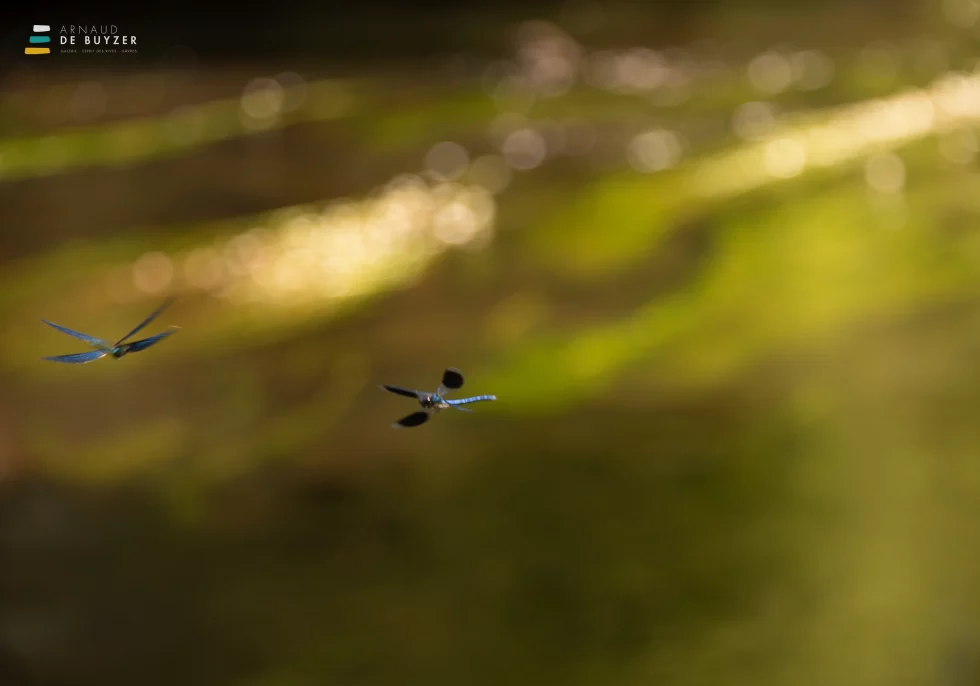 reportage photo - syndicat scorff - pont-callek