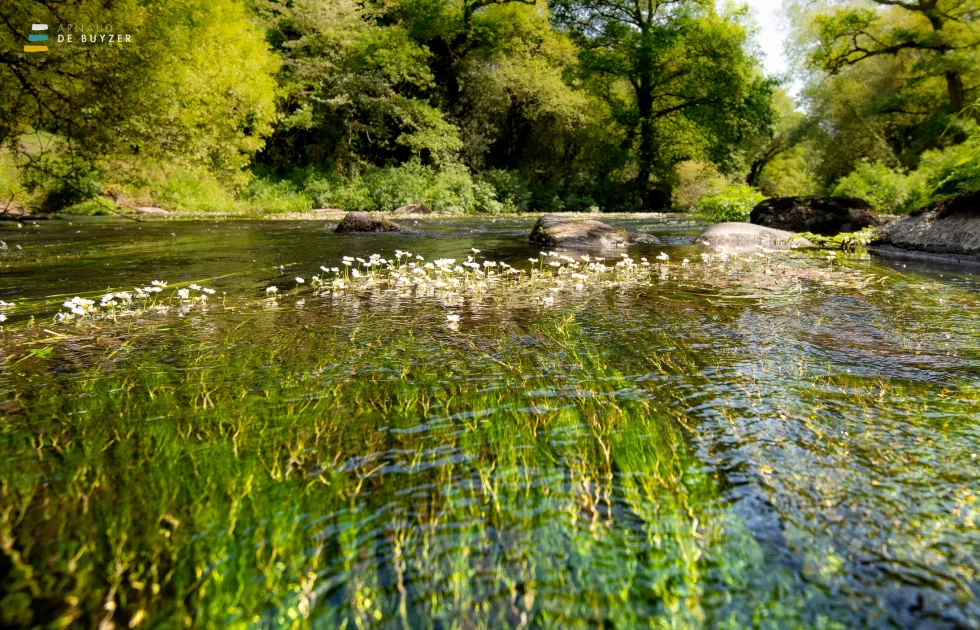 reportage photo - syndicat scorff - pont-callek