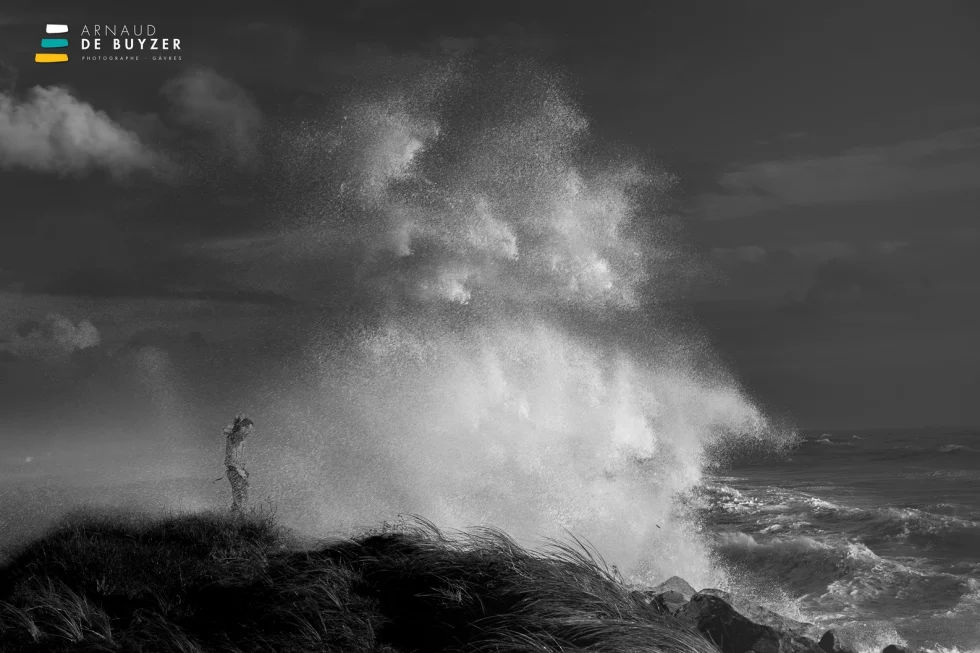 reportage photo libre - Tempête Céline Morbihan